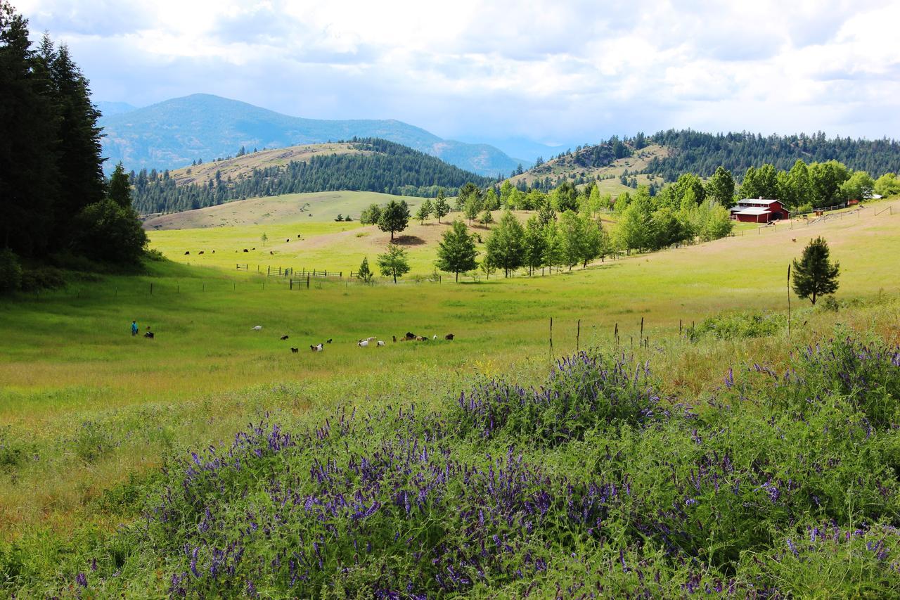 Pleasant Valley Rice Dış mekan fotoğraf