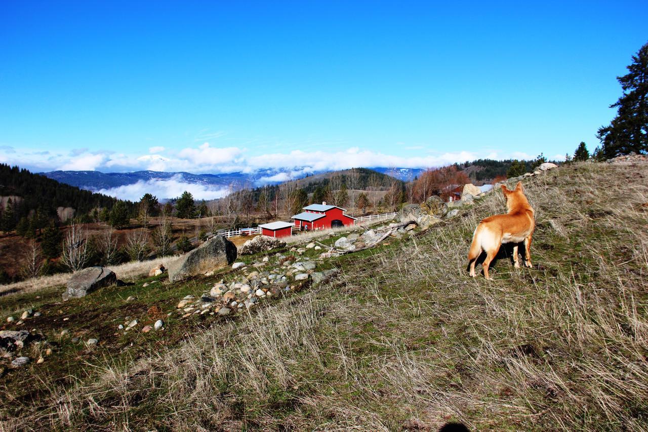 Pleasant Valley Rice Dış mekan fotoğraf